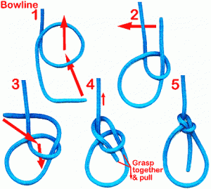 bowline how to tie a bowline