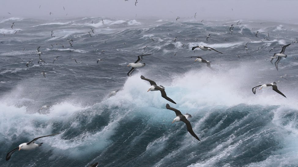 Featured image for “Chris Bedford: Empowering Sailors with Precision Marine Weather Forecasts"